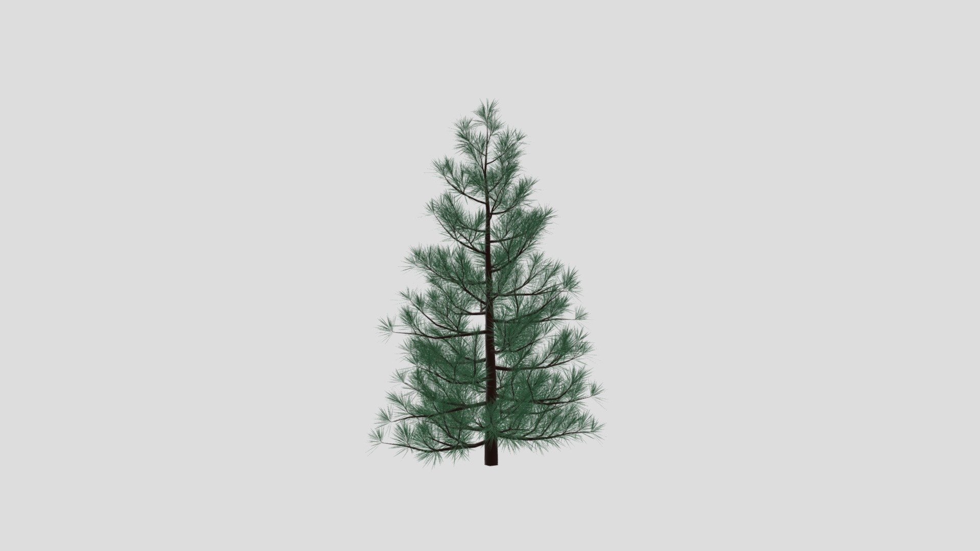 christmas tree model Download Free 3D model by 3DSociety [f583ab1