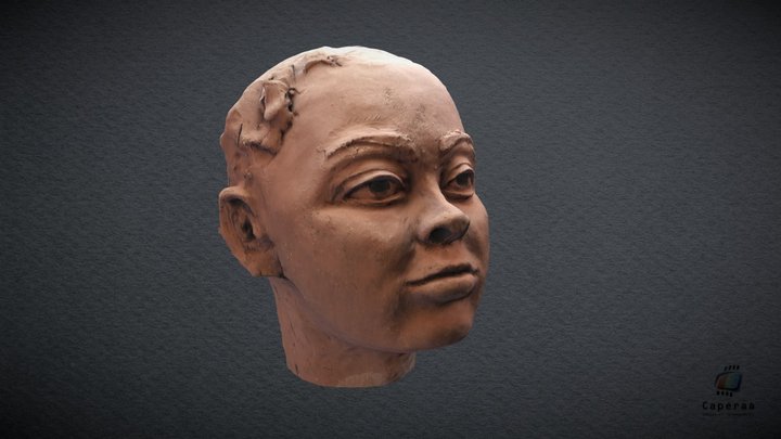 TETE HAUTE 3D Model