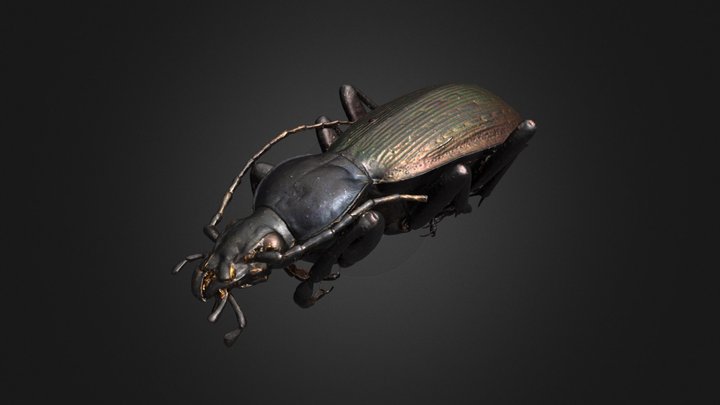 0576323 3D Model