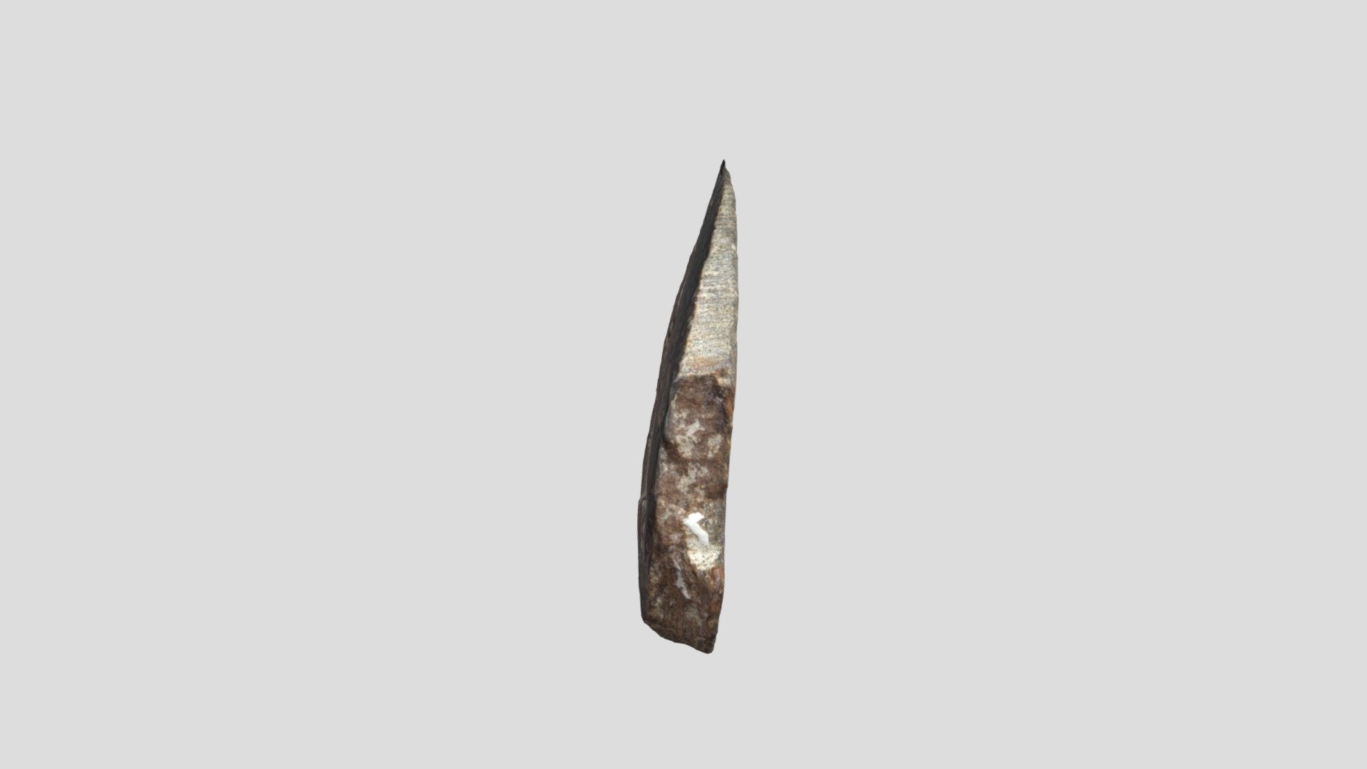 Ammolite (fossil Mother Of Pearl Of Ammonite)