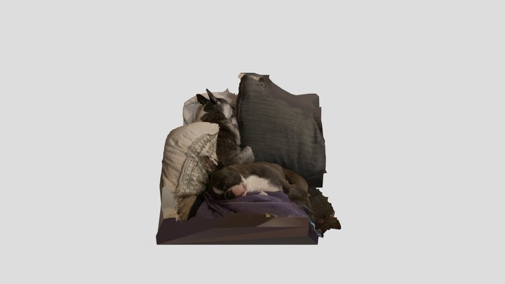 Two Dogs Sleeping 3D Model