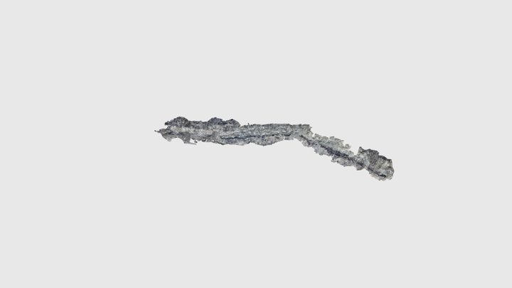 Craignagat Member (WSW quarry) 3D Model