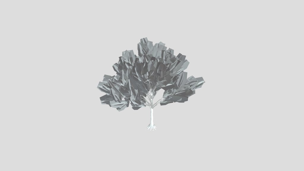 American Beech Tree Variation Low Poly