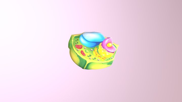 Sel Tumbuhan Nurhaty Seamolec 3D Model