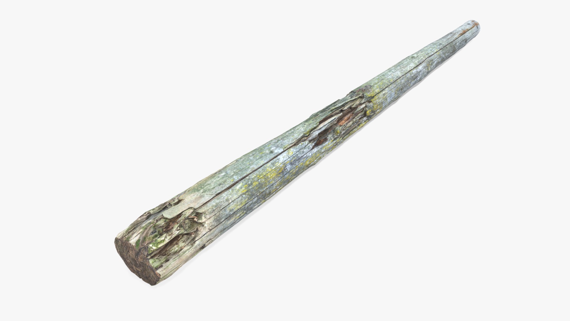 3D model Rotten Pine Log with Lichen - This is a 3D model of the Rotten Pine Log with Lichen. The 3D model is about a close-up of a wooden stick.