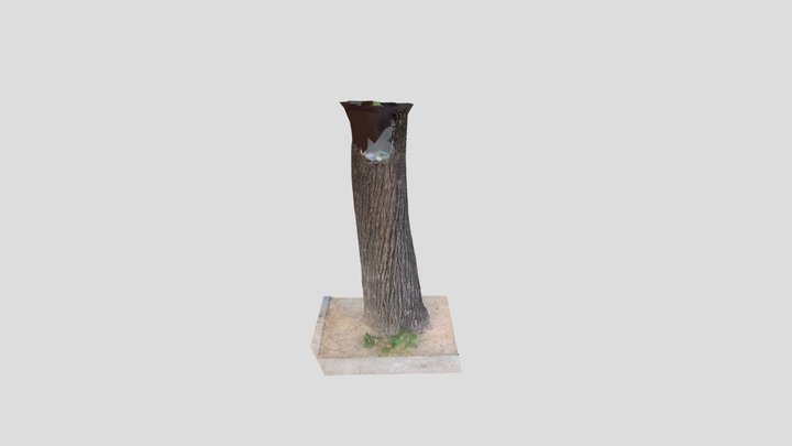 Tree trunk – Free 3D Model STL
