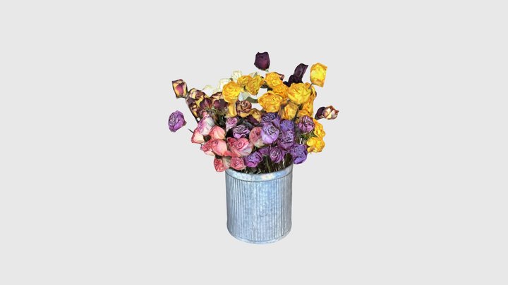 Dried Roses, Galvanized Container 3D Model