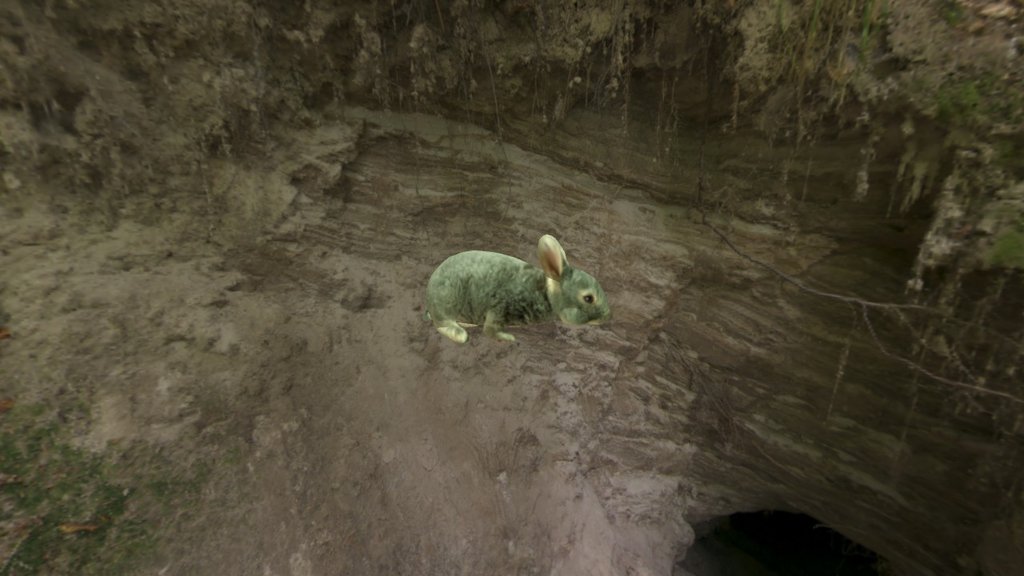 Rabbit