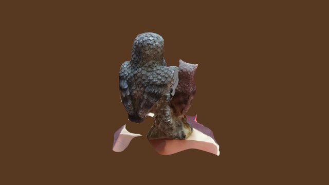 OWL 3D Model