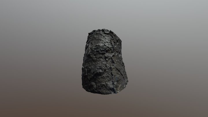 Texture d'arbre 3D Model