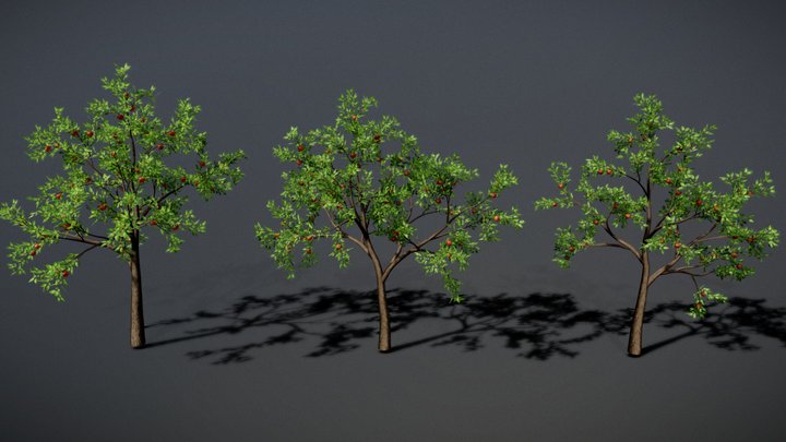 Apple Tree Collection 3D Model