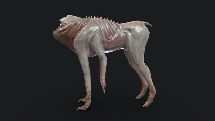 Headless Mule 3D Model