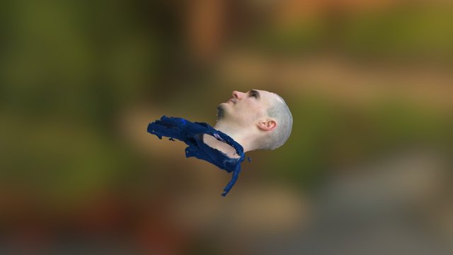 csacsii 3D Model
