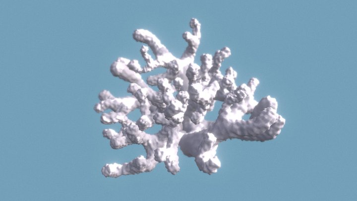 Deep Water Coral 3D Model