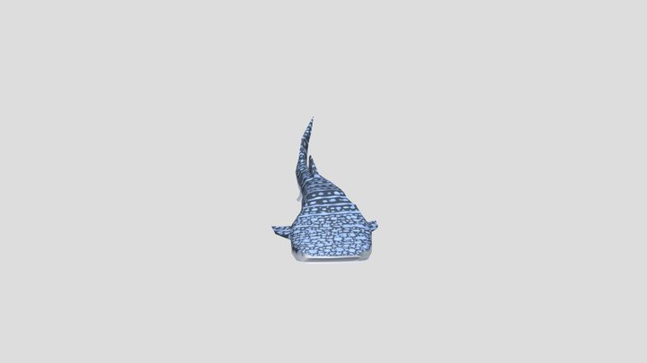 Character_WhaleShark_sketchfab2 3D Model