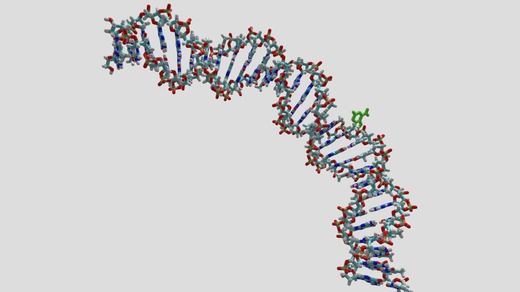 18 DNA - BURGER Alain - PFP Imaging