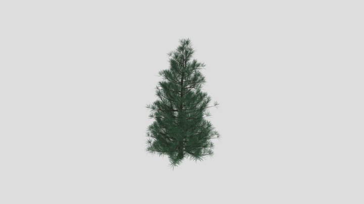 Christmas-tree-green 3D Model