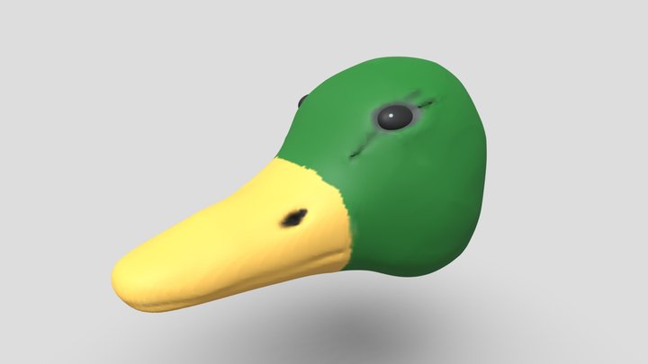 Simple Duck Head 3D Model