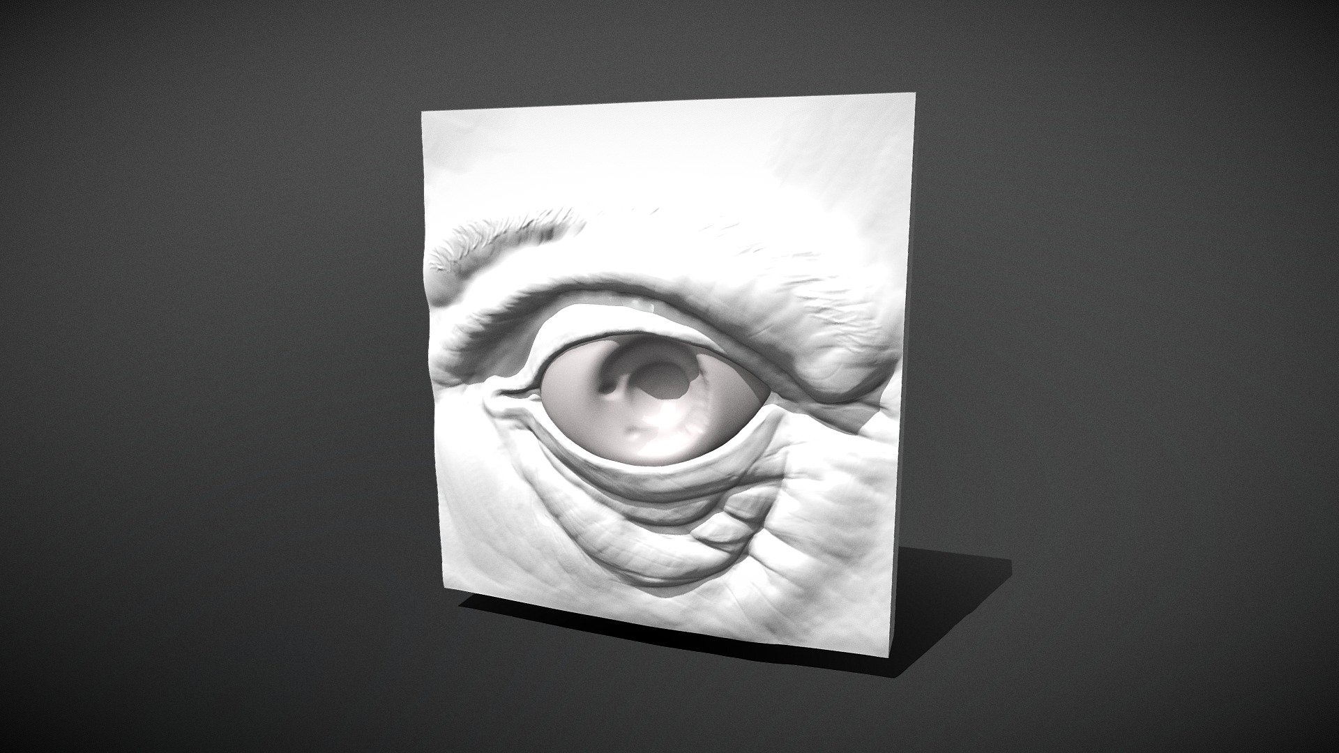Eye Model