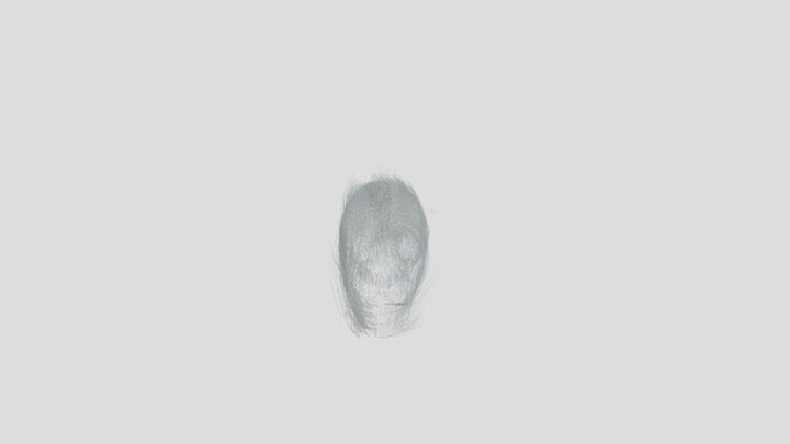 Rat 3D Model