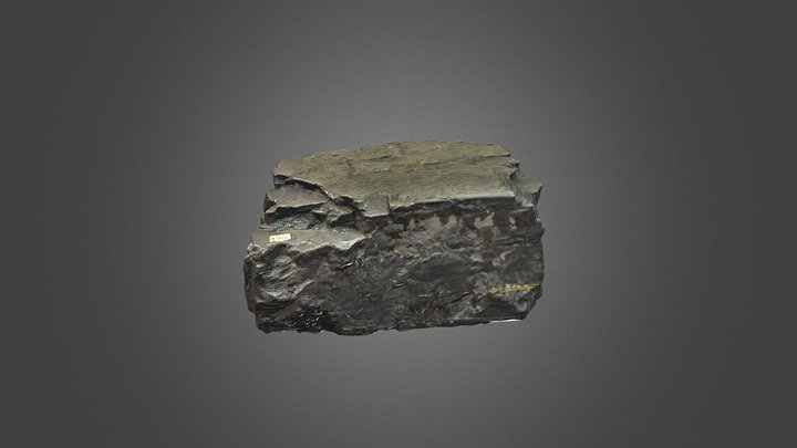 Bituminous Coal 3D Model