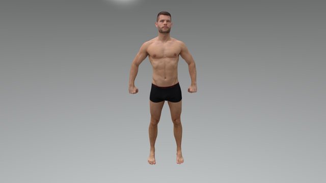 FFM- Sattler 3D Model