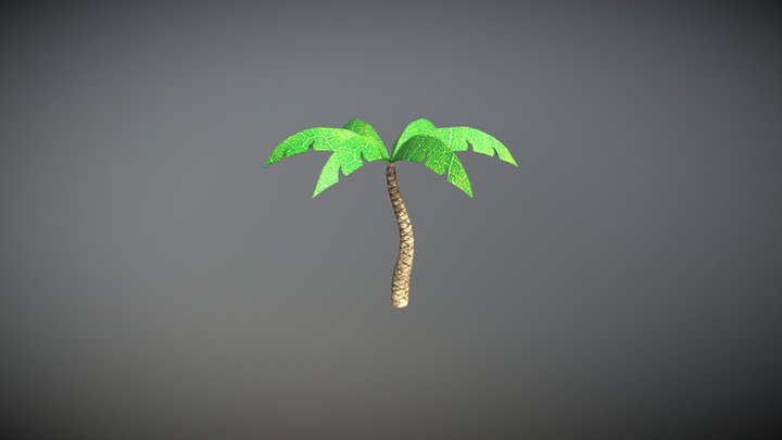Palmera 3D Model