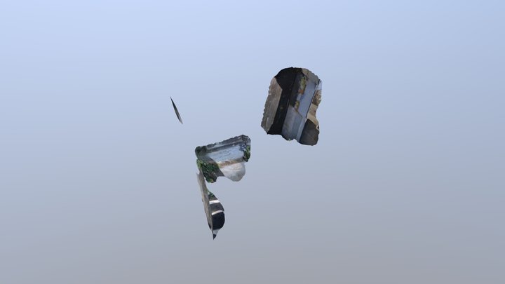 A TRNIO Model 3D Model