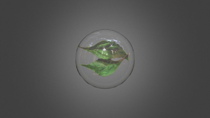 Orthos iPhon Orthos Bubble 3D Model