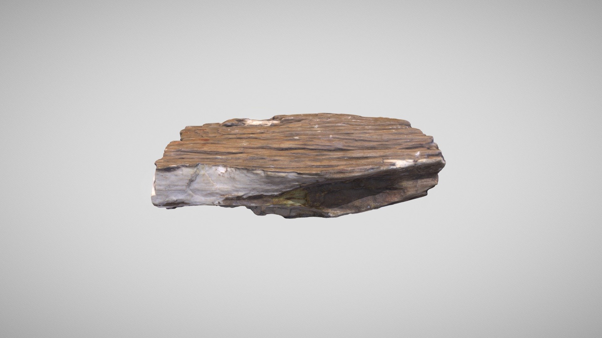 Окаменелое дерево - 3D model by uliashershidskaya [f5c2e6c] - Sketchfab