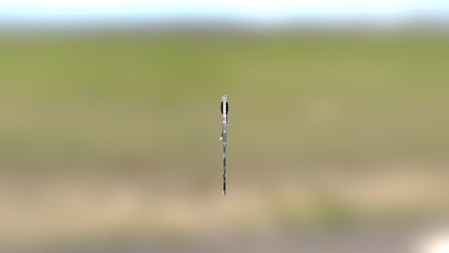 GPF1 3D Model