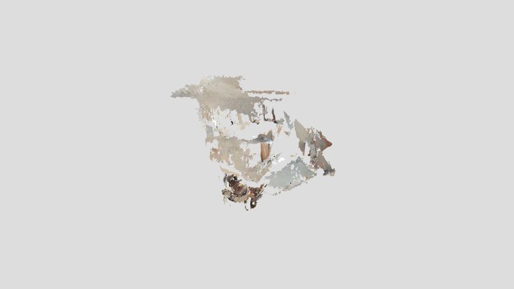 Untitled Scan 3D Model