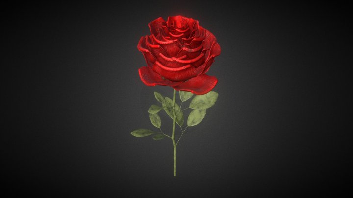 Rose 3D Model