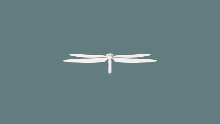 Dragonfly 3D Model