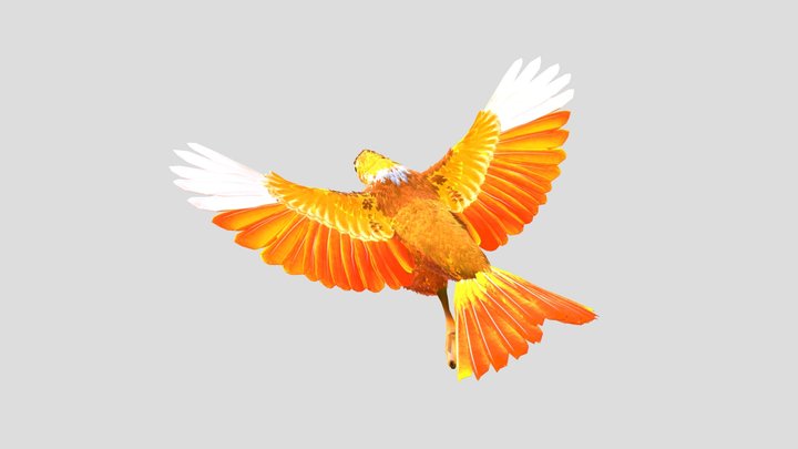 b2+ 3D Model