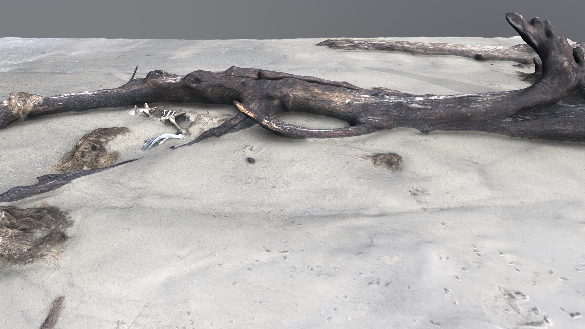 3D model Driftwood 03 (photogrammetry scan) - This is a 3D model of the Driftwood 03 (photogrammetry scan). The 3D model is about a group of snakes on a sandy surface.