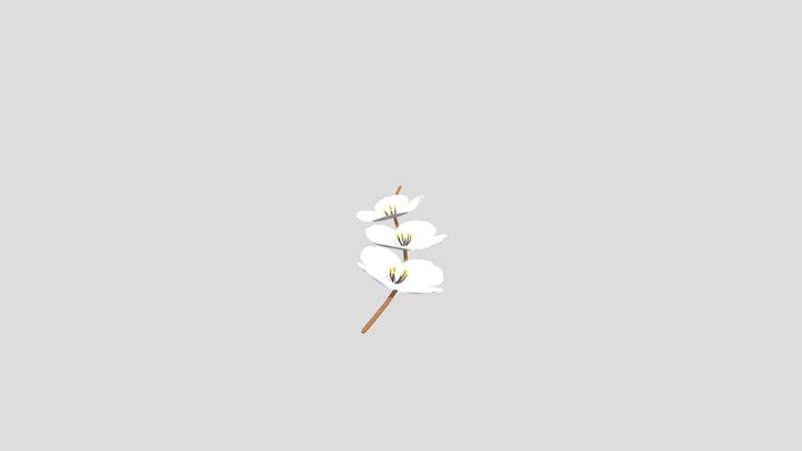 Cherry Branch 3D Model
