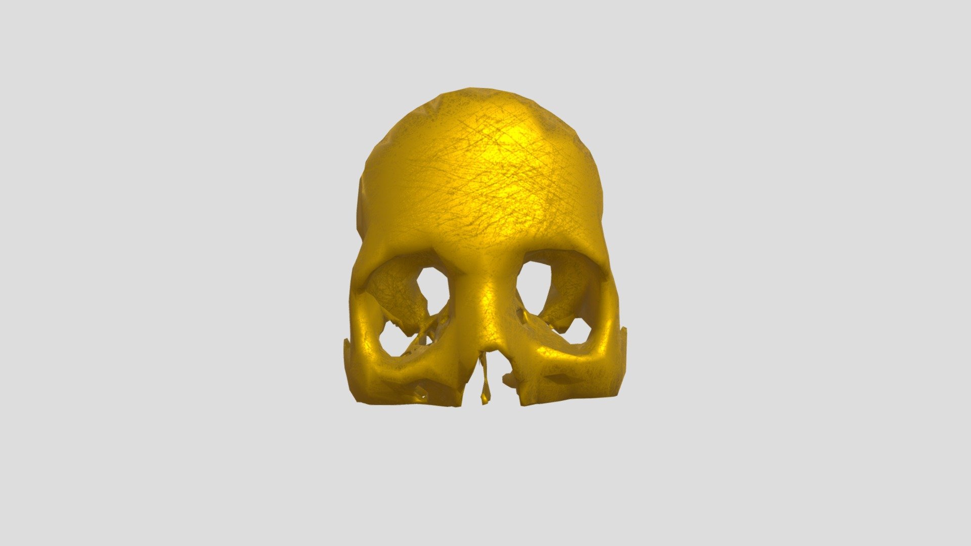 Skull - Download Free 3D model by Peter_G (@metal_soup) [f5d9d6b ...
