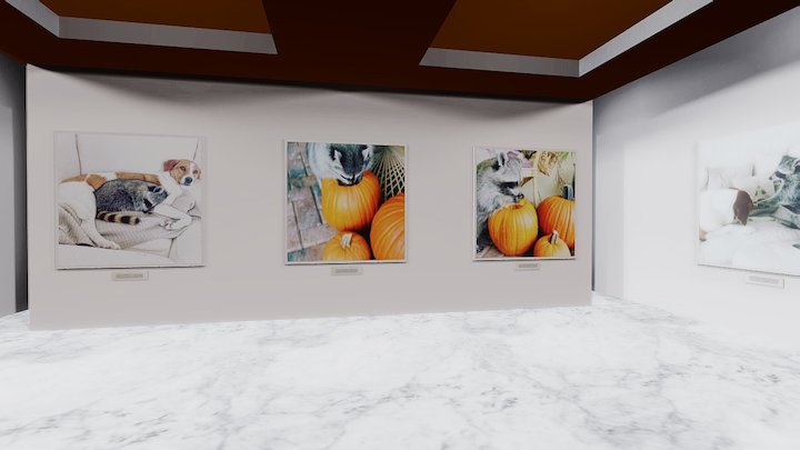 Instamuseum for @pumpkintheraccoon 3D Model