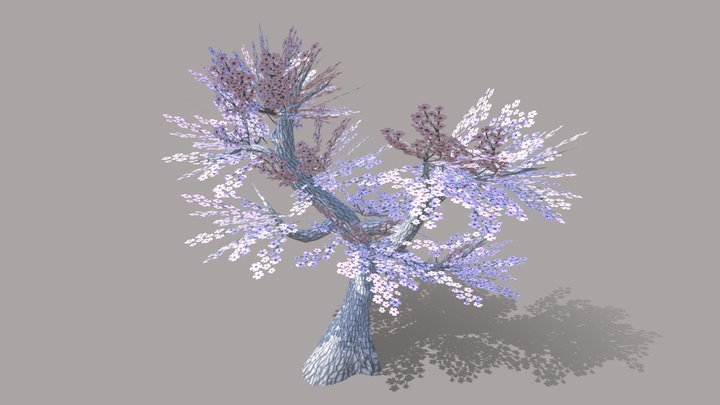 cherry blossom 3D Model