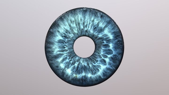 Blue Eye Iris 3D Model