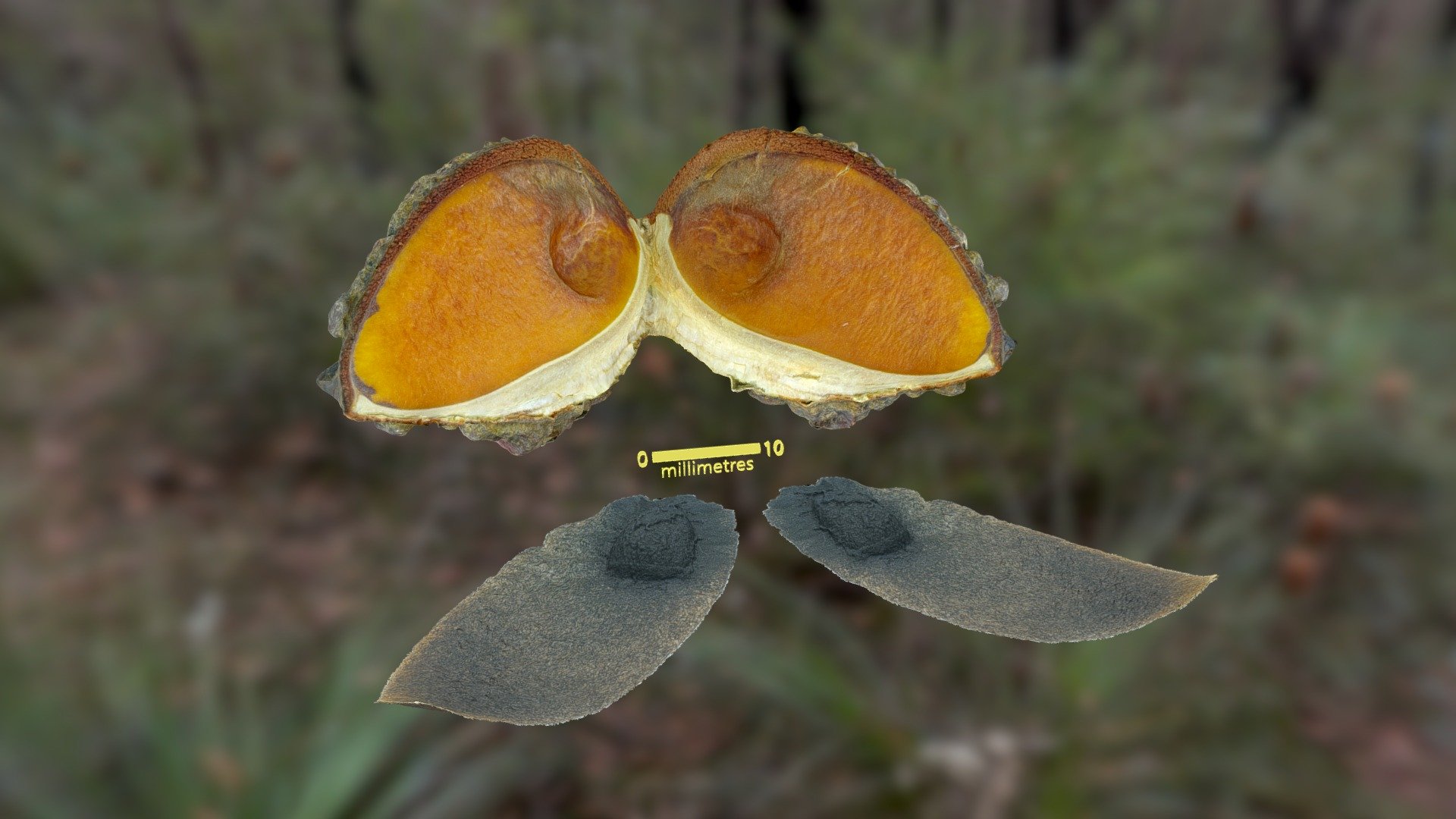 sketchfab.com