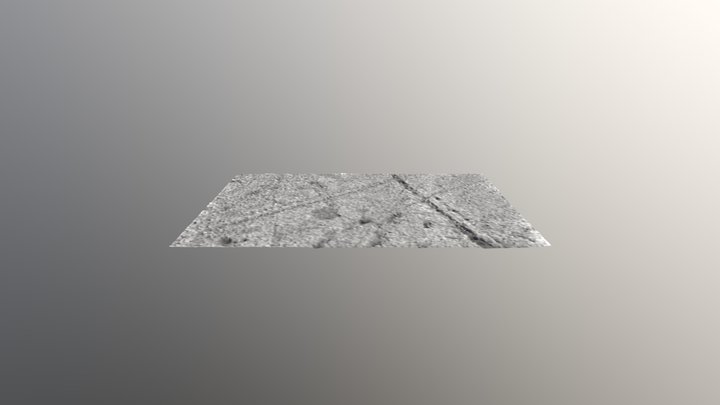 Rhamphrhynchus 3D Model