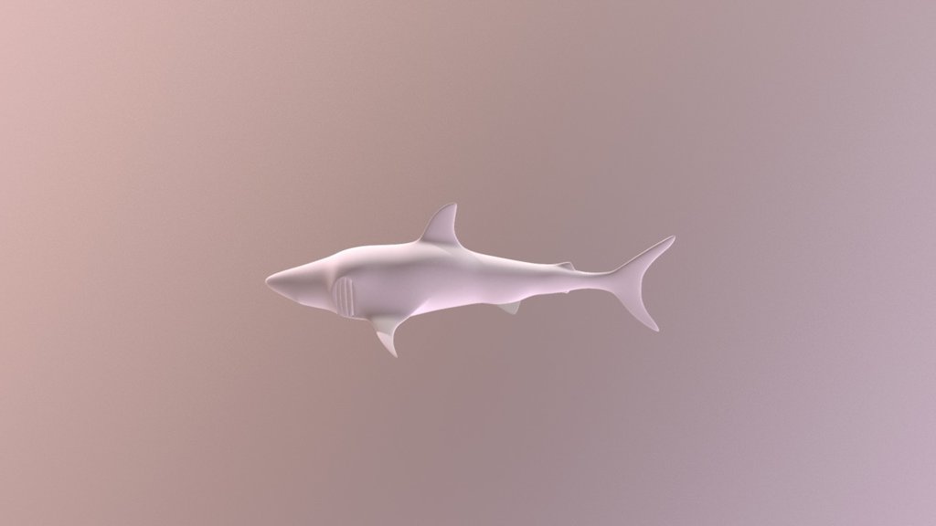 Shark Finished