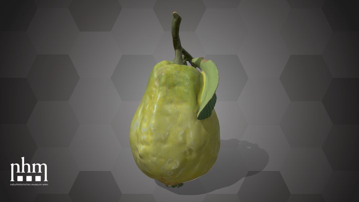 Pear (NHMW-AFW-DING-0046-081) – Modello 3D gratuito STL
