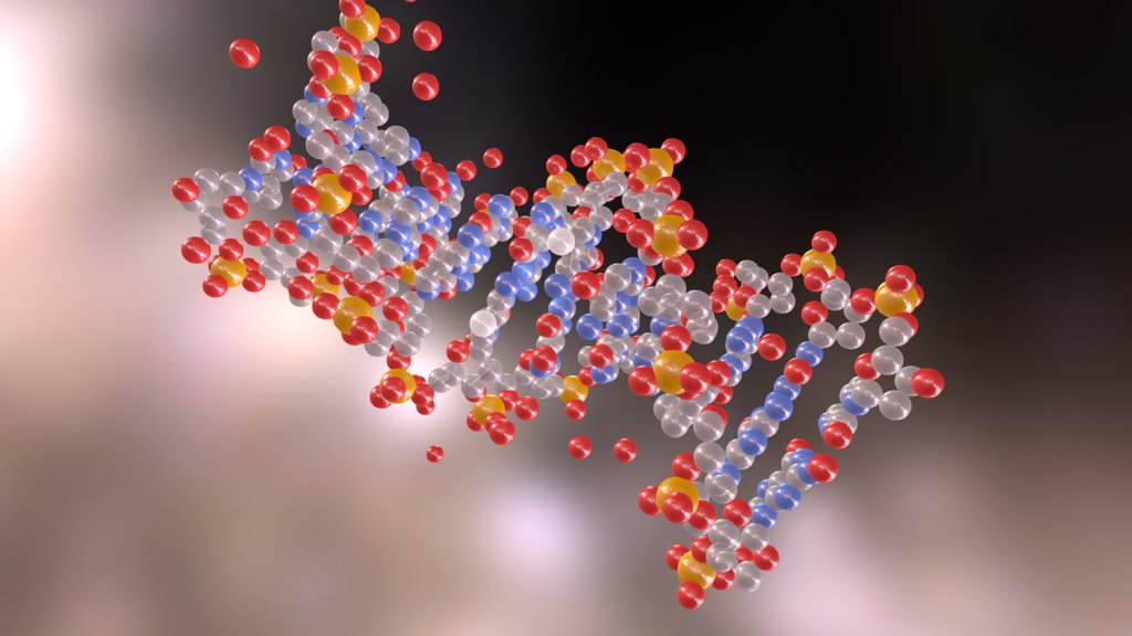 Молекула днк содержание молекул. Молекула ДНК 3д. Молекула ДНК 3д модель. ДНК 3d модель. Украшение молекула ДНК.