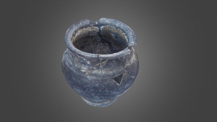Vaso de cocina de época augustea 3D Model
