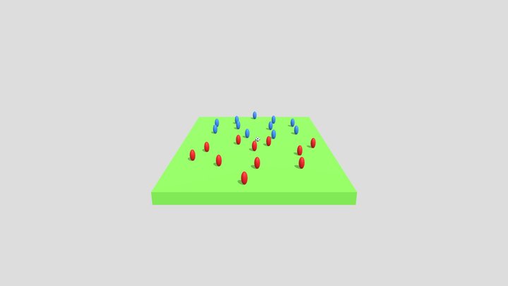 Soccer Field