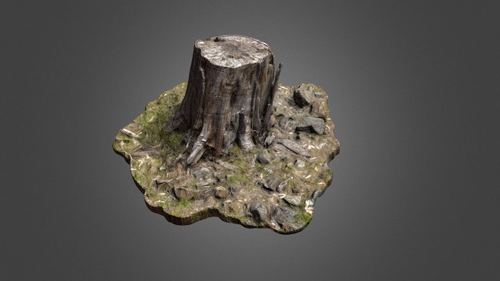 Tree_Stump_002 3D Model