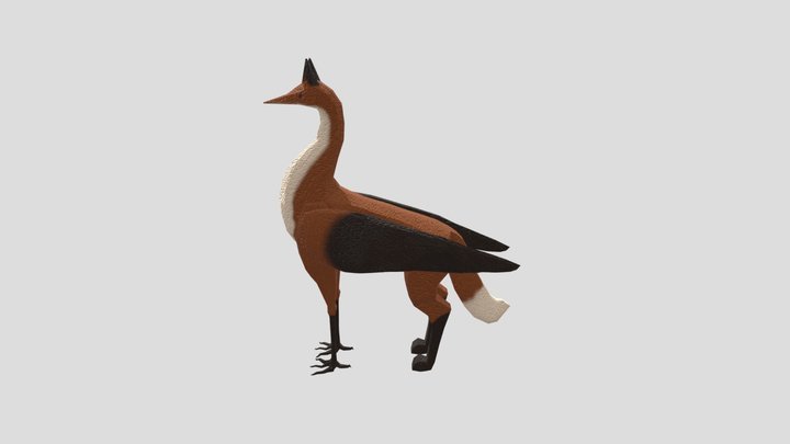 Fox Crane Creature w Texture 3D Model